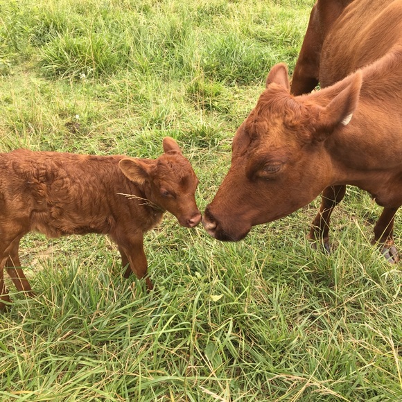 Meet your Posher - Picture 6 of 8